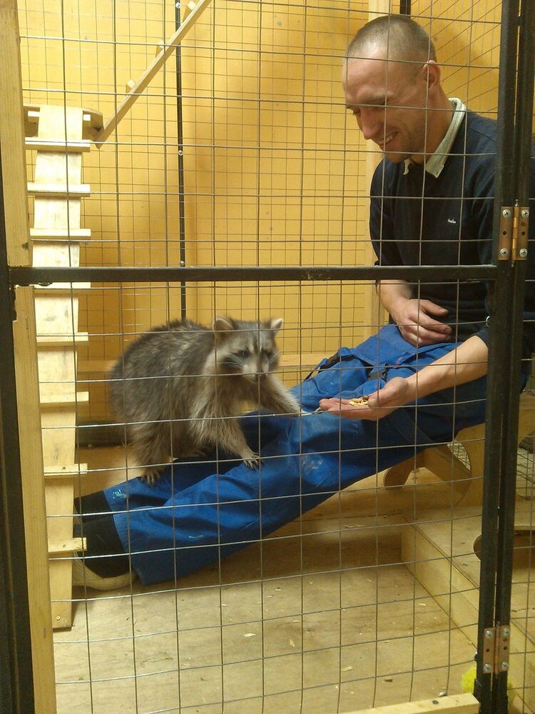 ���������� ������, ���� ������� �������, 38 ���, ������������ ��� ������, ����� � ���������, c�������� ���������