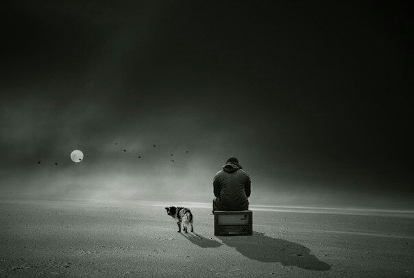 ���������� ���������, ���� ������� ��������, 43 ����, ������������ ��� ������, ����� � ���������