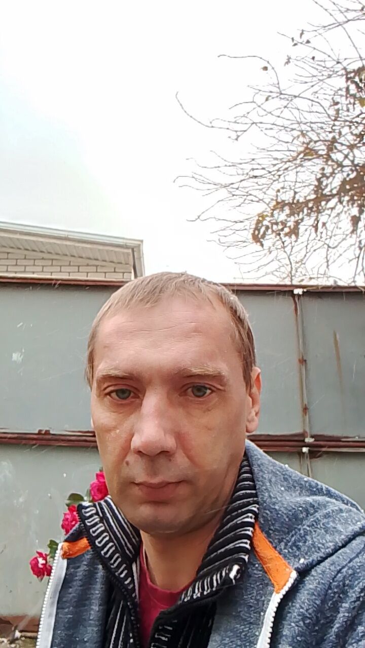  48233922  , 40 ,    