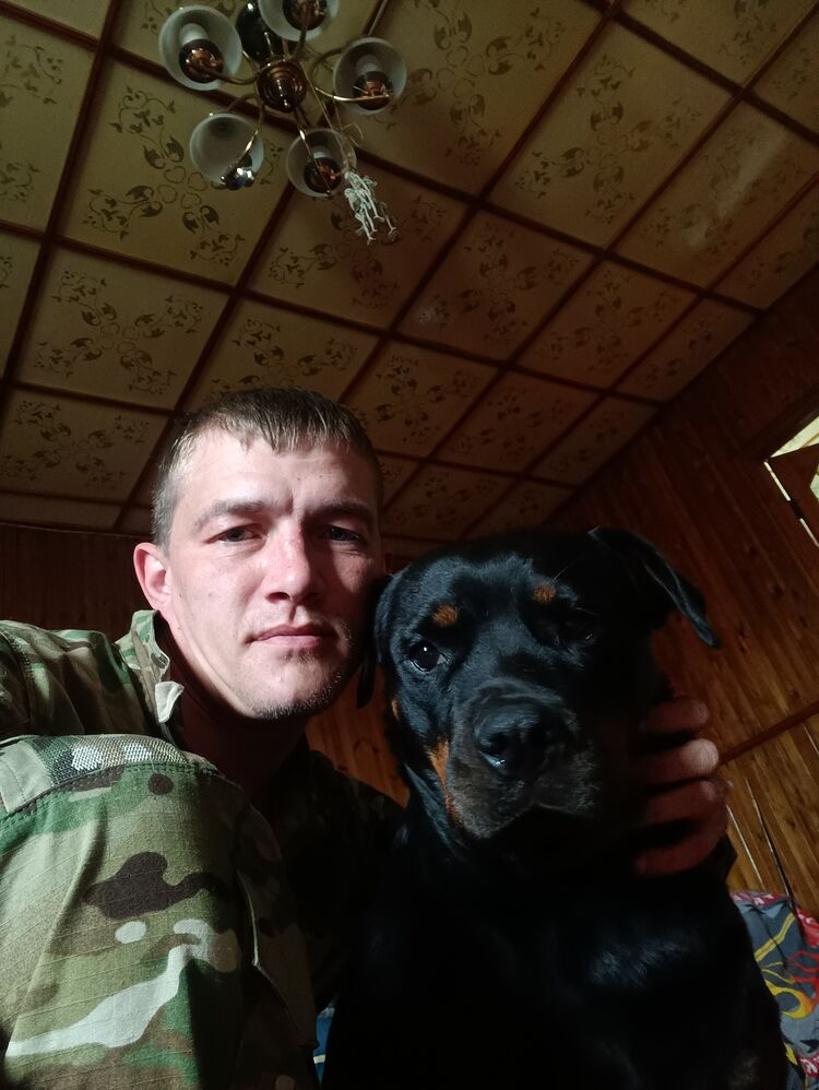 ���������� �����, ���� ������� ������ �����, 38 ���, ������������ ��� ������, ���������