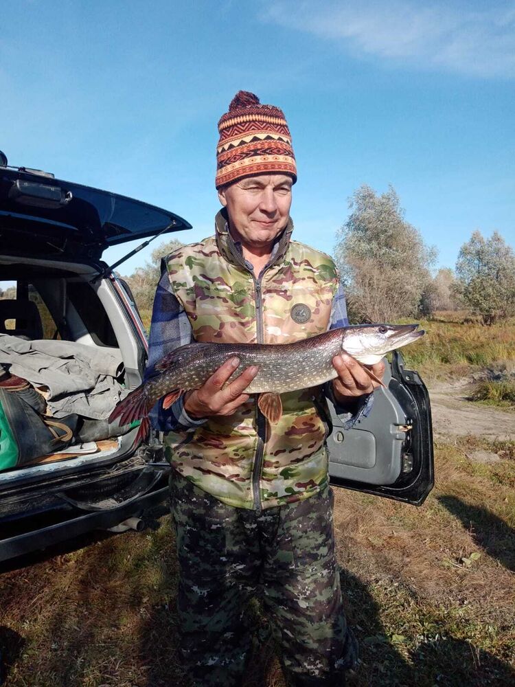 ���� 54982582 ������� ����, 57 ���, ���� ���������� � ��������