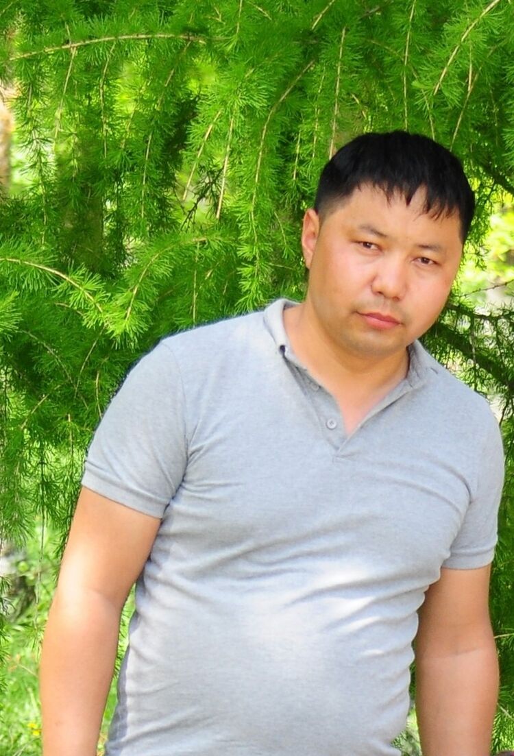 ���� 17175922 ������� ������, 38 ���, ���� ���������� � ��������