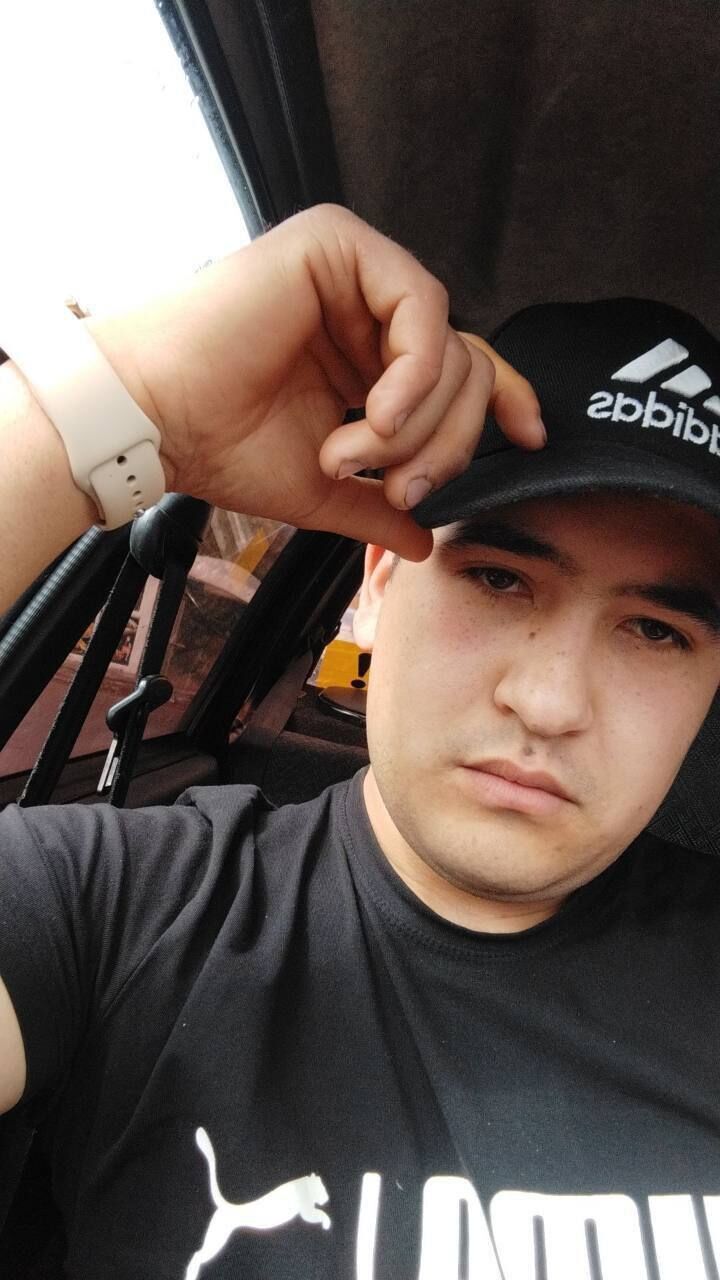 ���� 43733382 ����� Bravo, 24 ����, ���� ���������� � ������