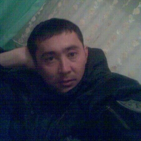  20500012  , 41 ,    