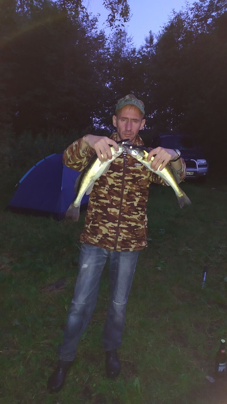  26564092  , 45 ,    -