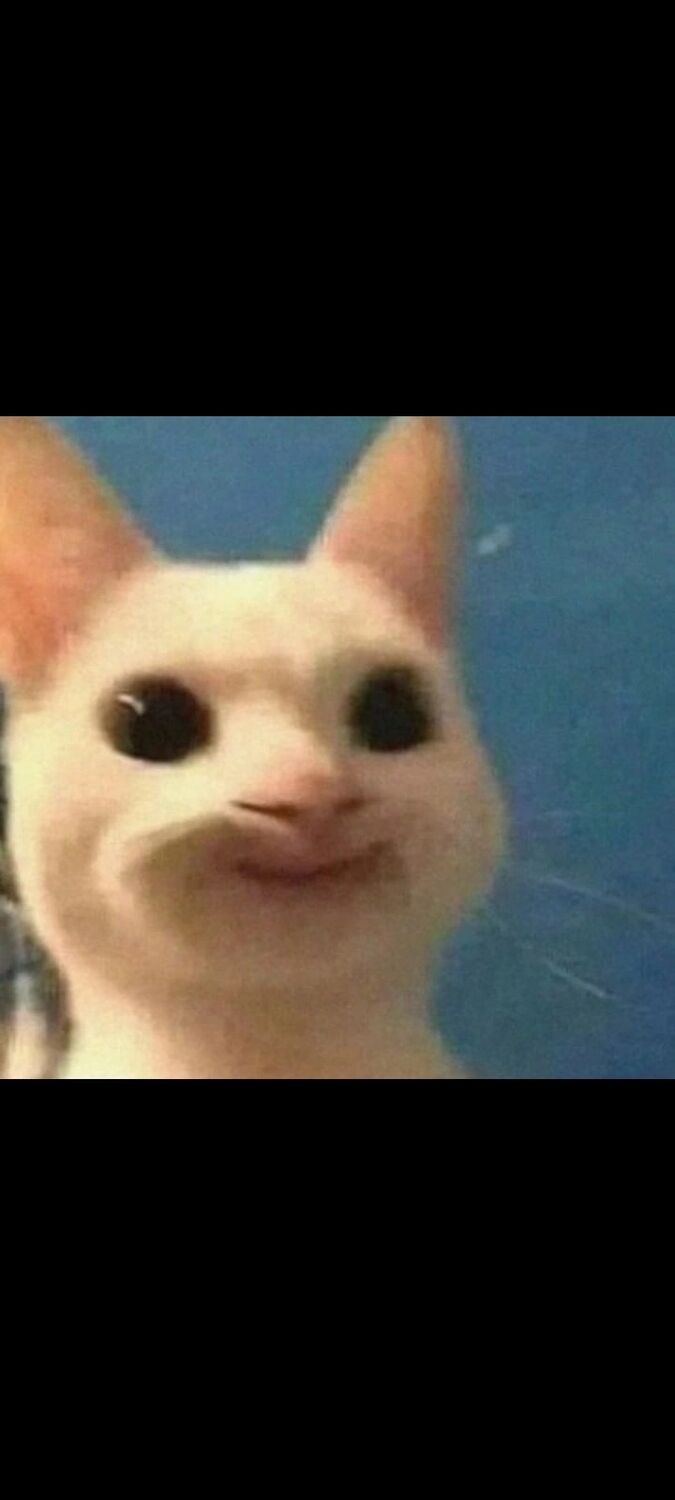  ,    , 21 ,   ,   