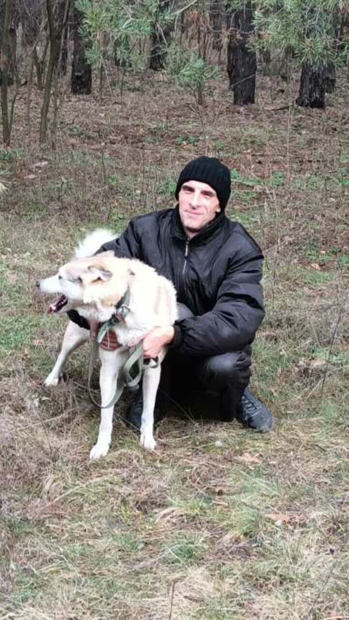 ���� 54504842 ������� ������, 45 ���, ���� ���������� � ����������