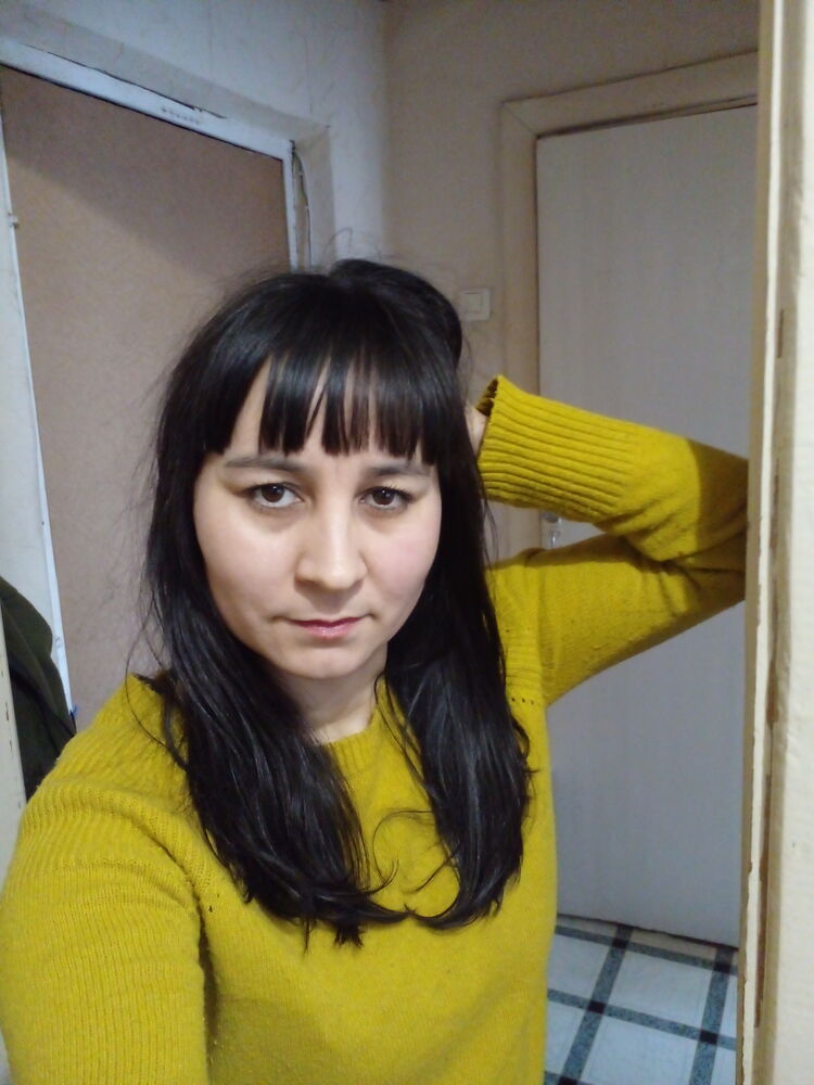  53066582  , 41 ,    -