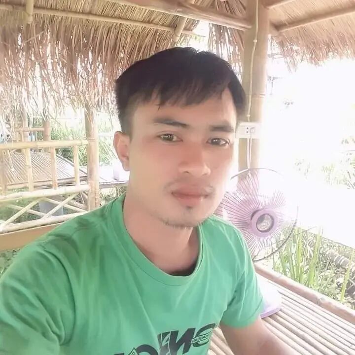 ���������� Paddington, ���� ������� Art, 91 ���, ������������ ��� ������, ����� � ���������