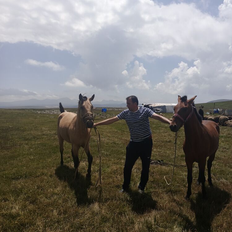 ���������� ����, ���� ������� ����, 42 ����, ������������ ��� ������, ����� � ���������, c�������� ���������