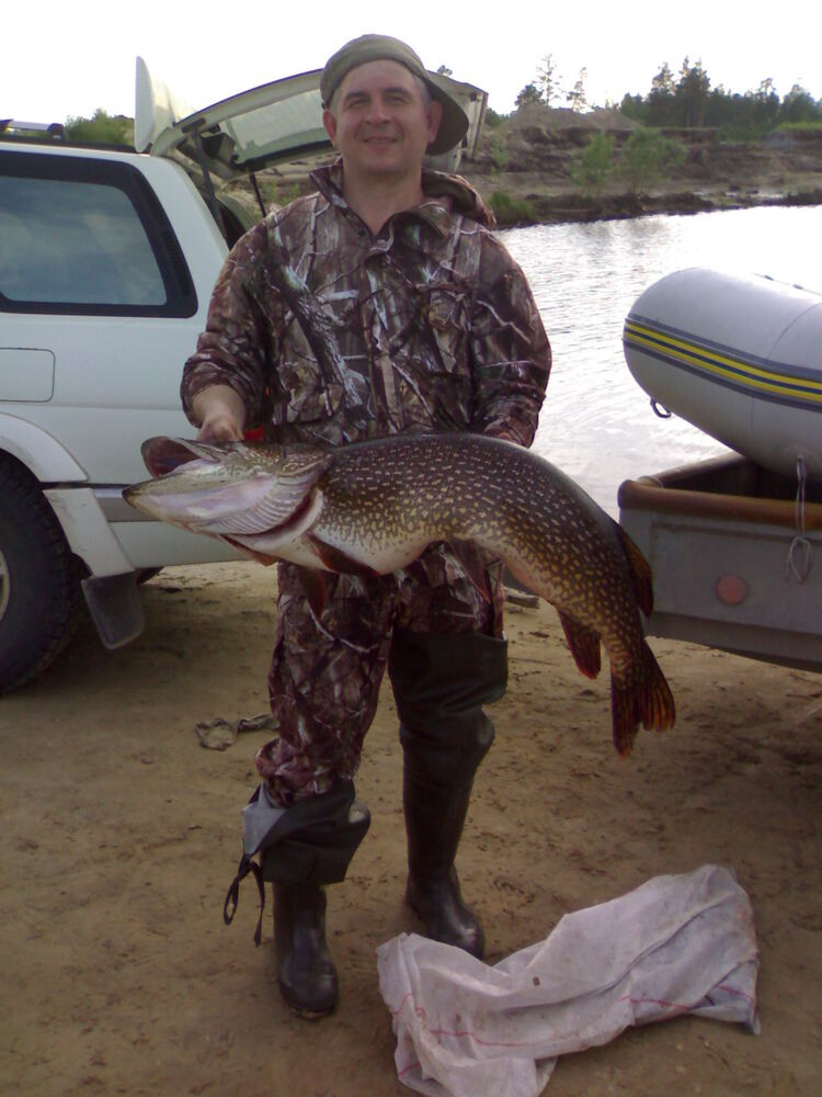 ���� 54280942 ������� ��������, 53 ����, ���� ���������� � ���������