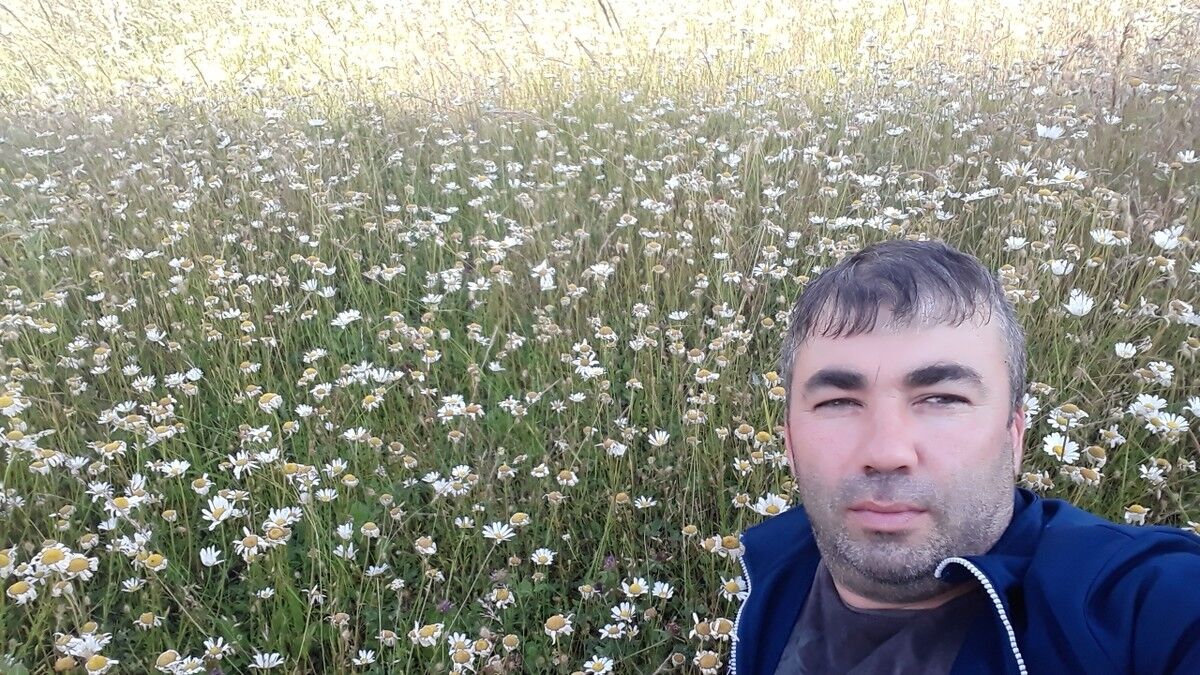 ���������� ���������, ���� ������� ����, 40 ���, ������������ ��� ������, ����� � ���������, c�������� ���������