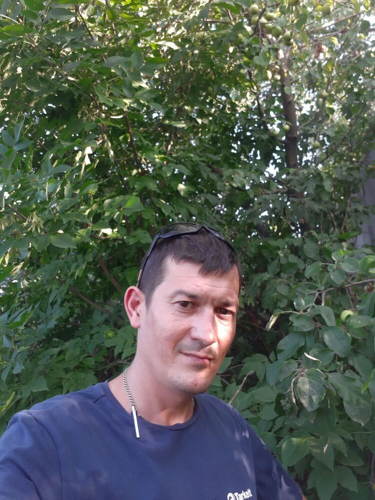 ���� 56132782 ������� ����, 41 ���, ���� ���������� � �������������