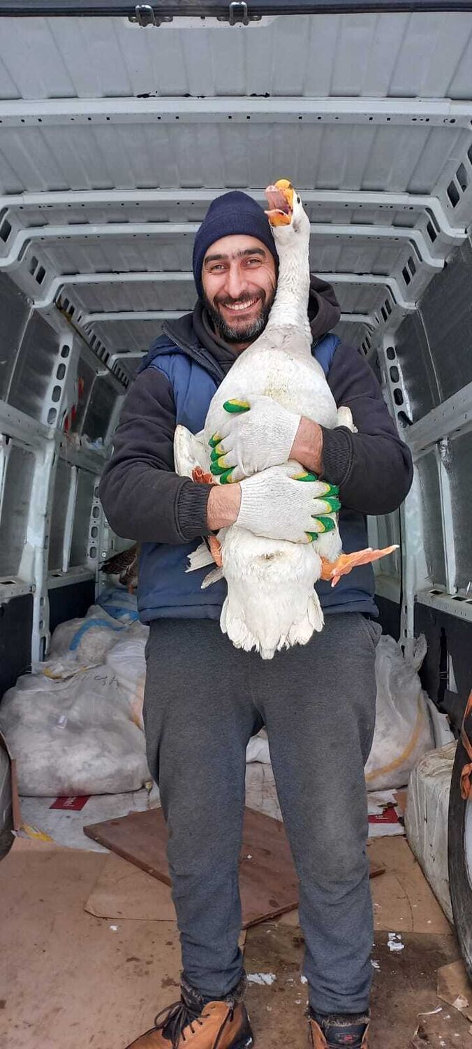 ���� 56217342 ������� ����, 35 ���, ���� ���������� � ������