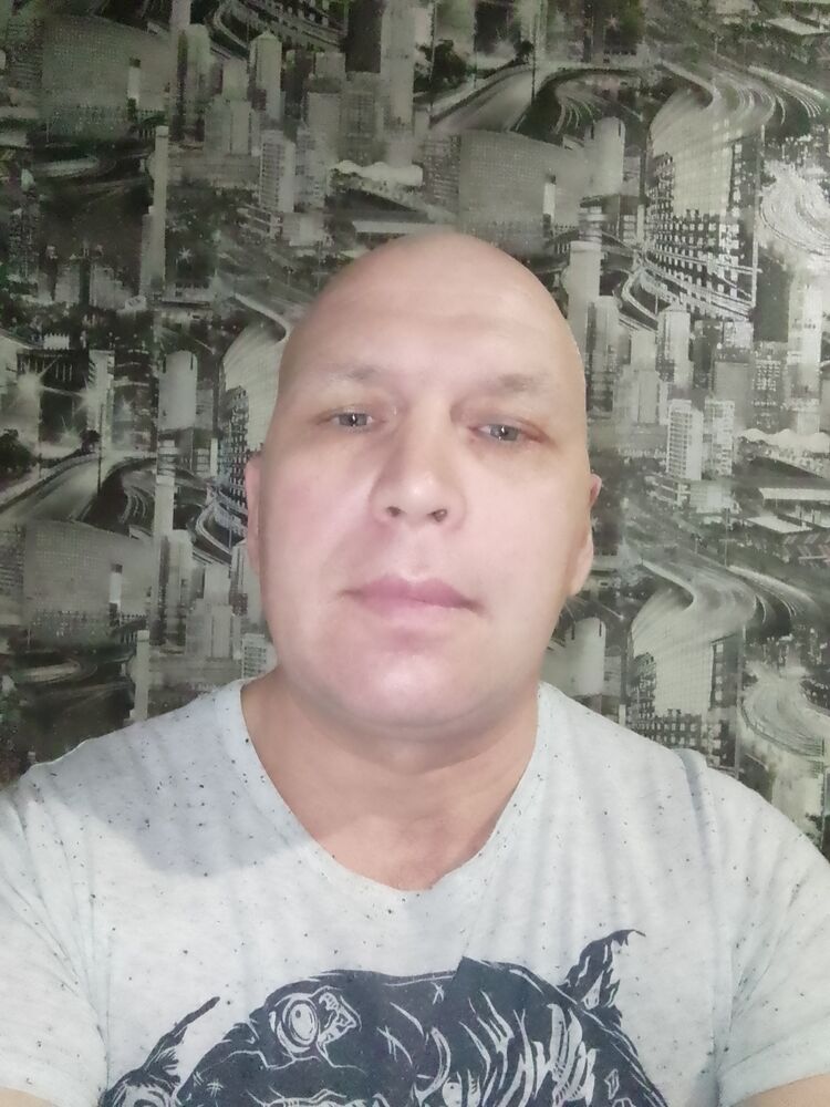  44049582  , 49 ,    