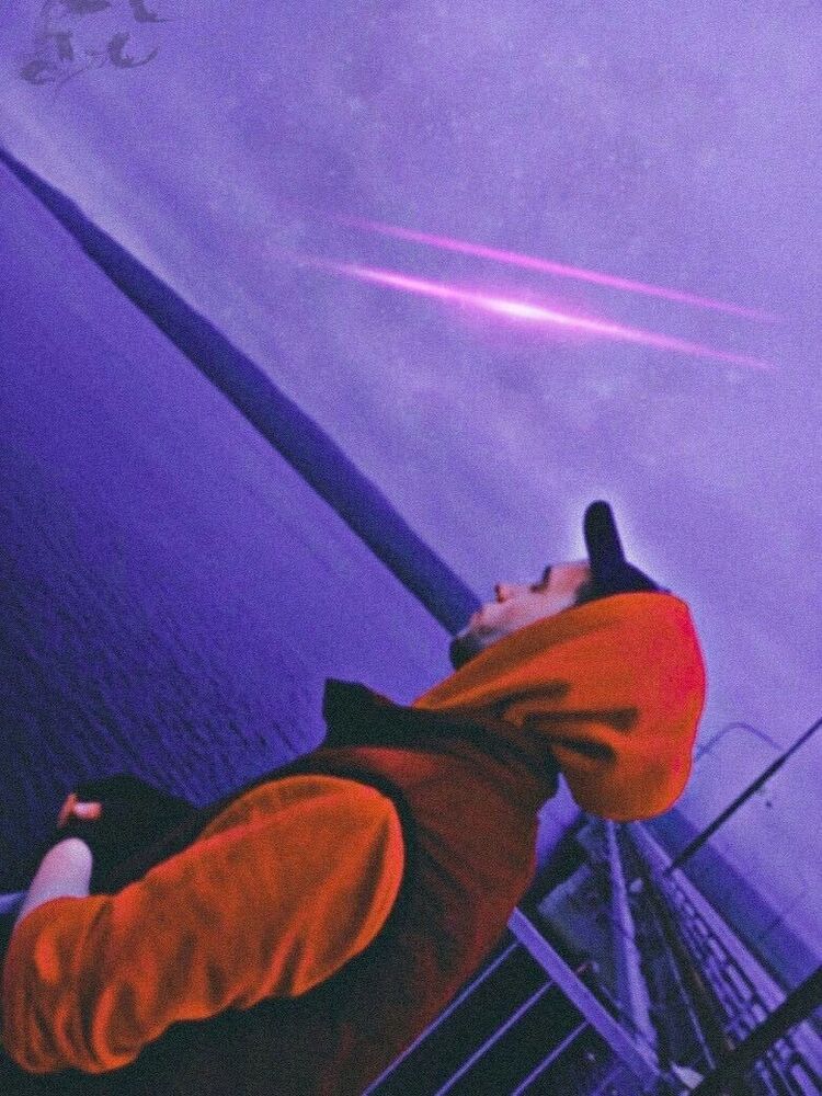  28413532  , 31 ,    