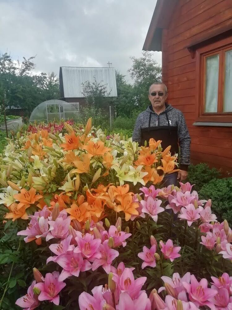  ,   , 68 ,   ,   