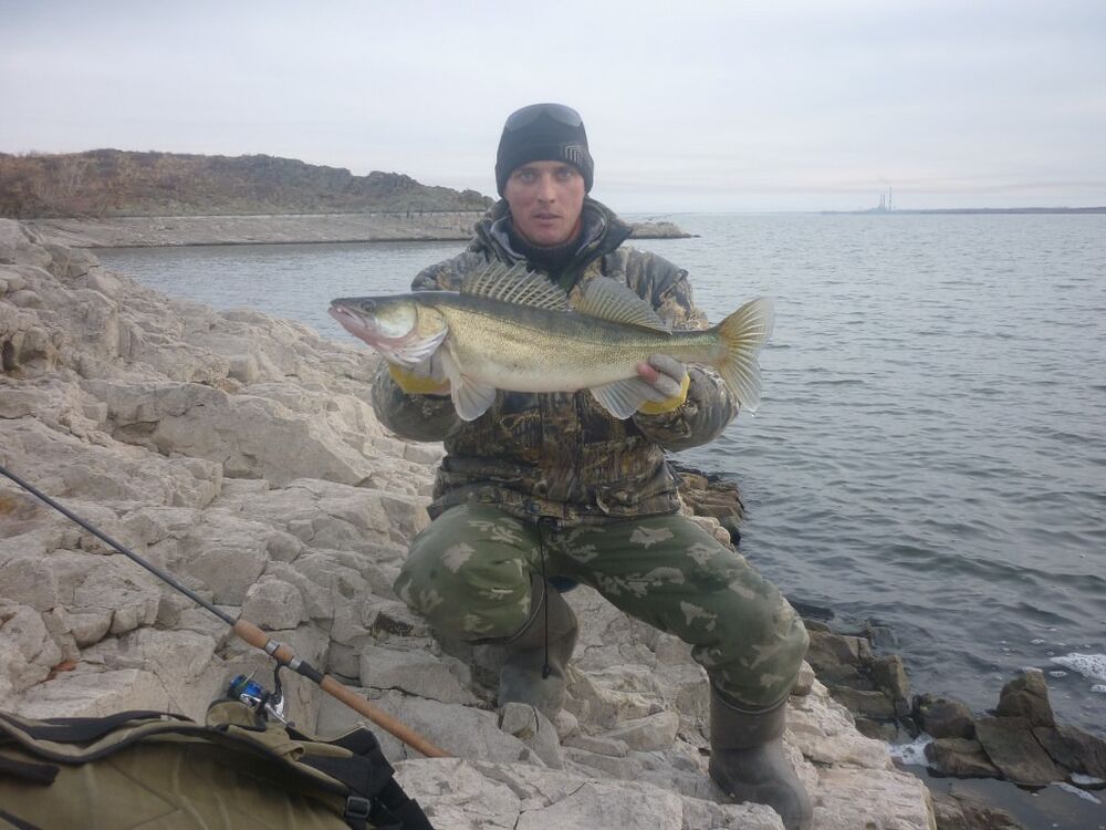 ���������� �����-���������, ���� ������� �������, 43 ����, ������������ ��� ������