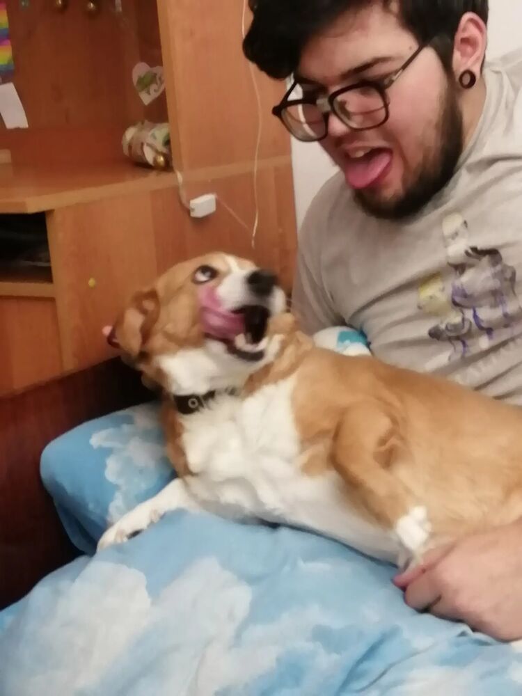 ���������� �����, ���� ����� ������, 25 ���, ������������ ��� ������, ����� � ���������