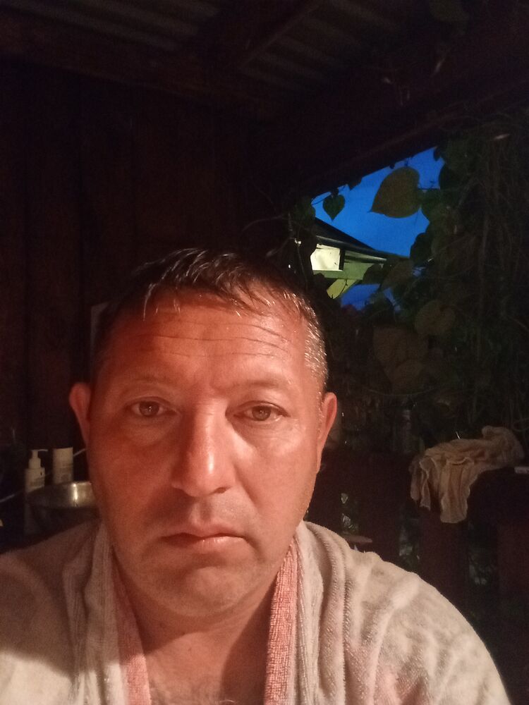  53897102  , 43 ,    