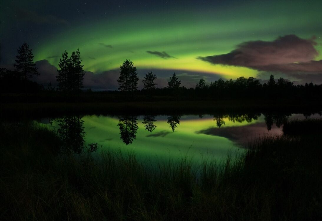 ���� 29384342 ������� NODIRBEK, 28 ���, ���� ���������� � ���������