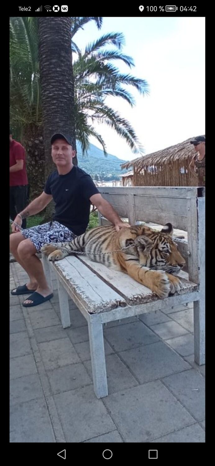 ���� 35024882 ������� ���������, 39 ���, ���� ���������� � �������-��-����