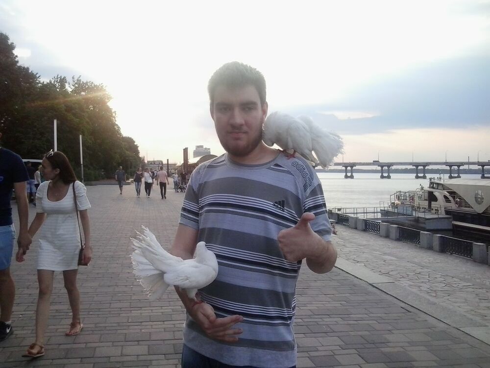 ���������� ����, ���� ������� ����, 28 ���, ������������ ��� ������, ����� � ���������, c�������� ���������