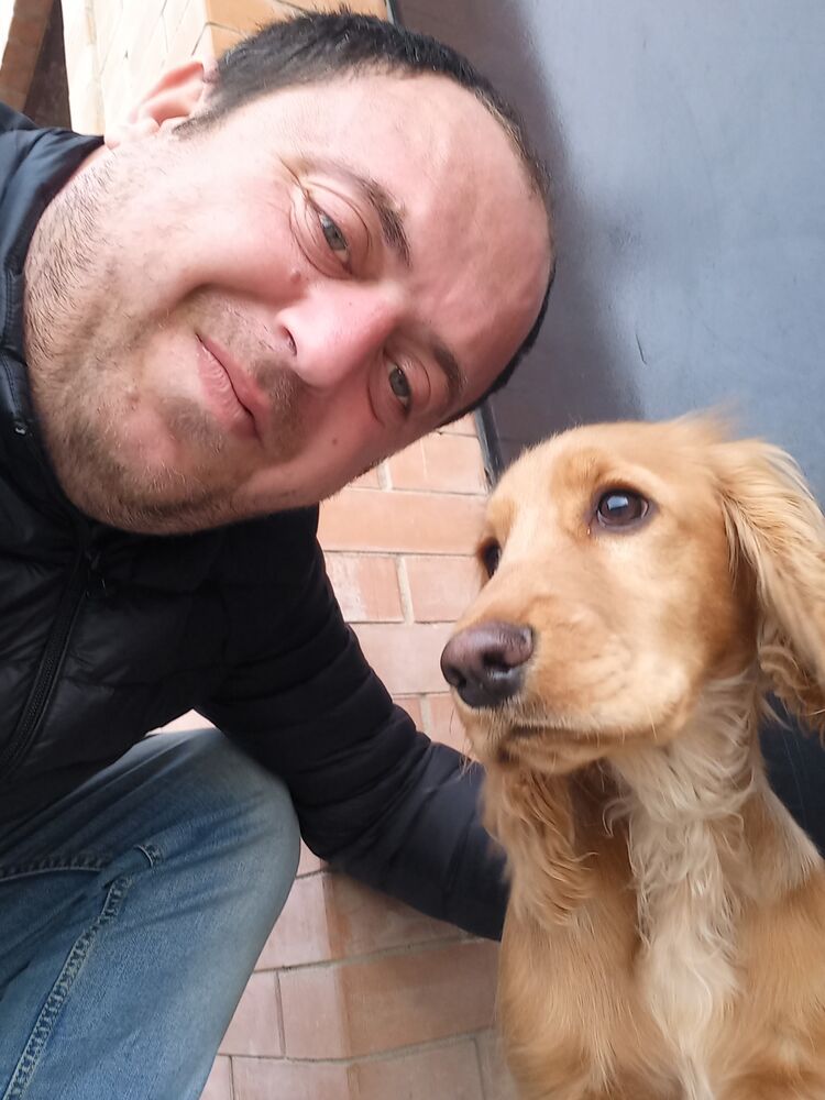 ���� 24682222 ������� Tornike, 37 ���, ���� ���������� � �������