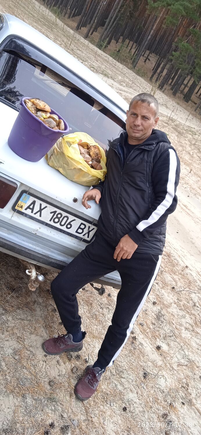  42605312  , 43 ,    