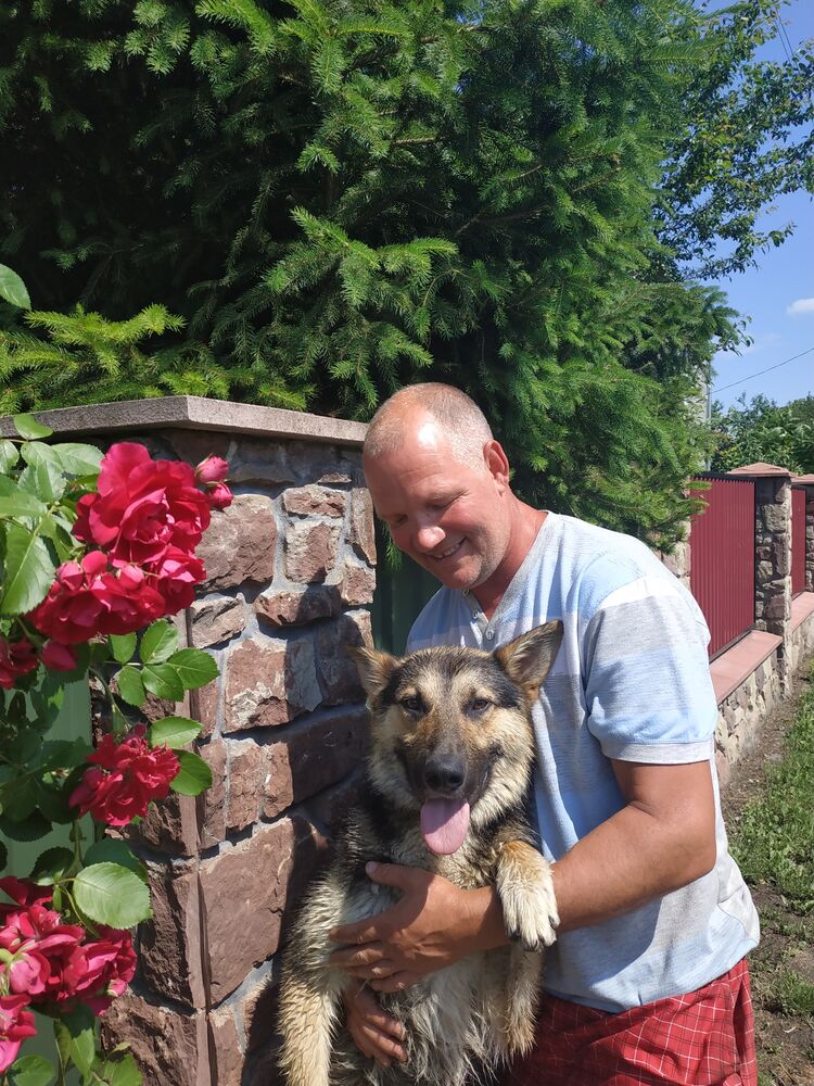 ���������� ������, ���� ������� ������, 50 ���, ������������ ��� ������, ����� � ���������