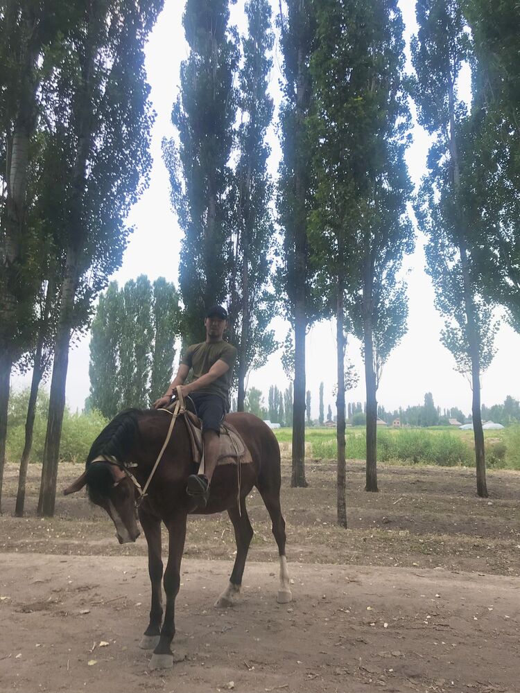 ���� 27995602 ������� ����, 29 ���, ���� ���������� � �������