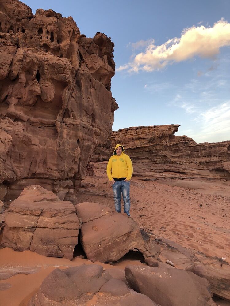 ���� 22114192 ������� �������, 50 ���, ���� ���������� � �����������