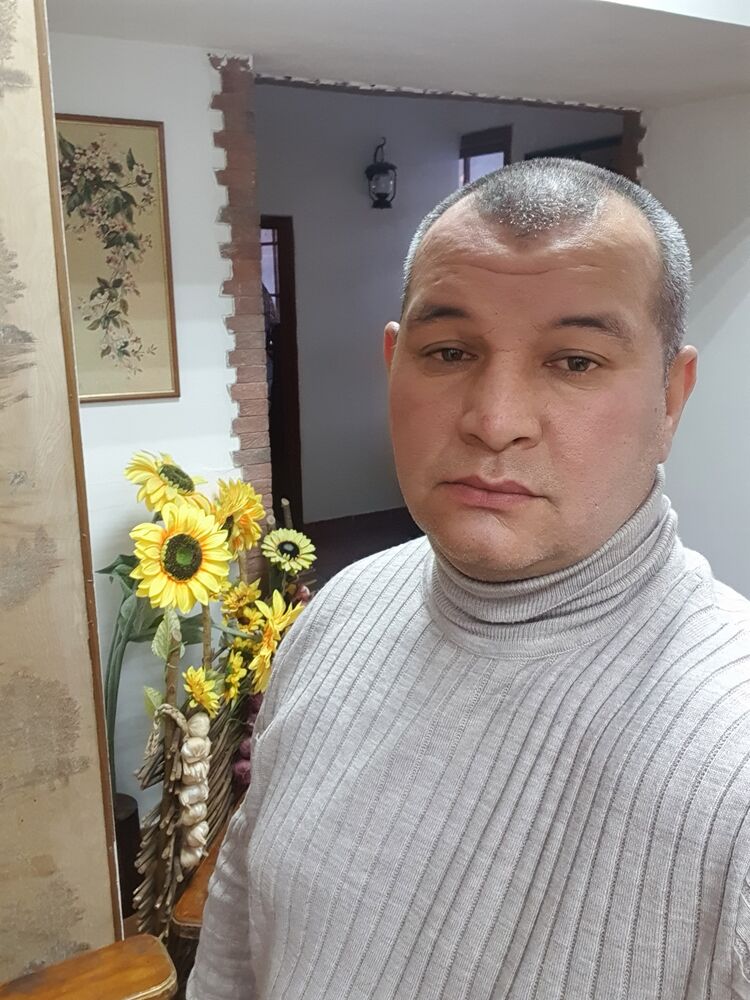  49848442  , 37 ,    