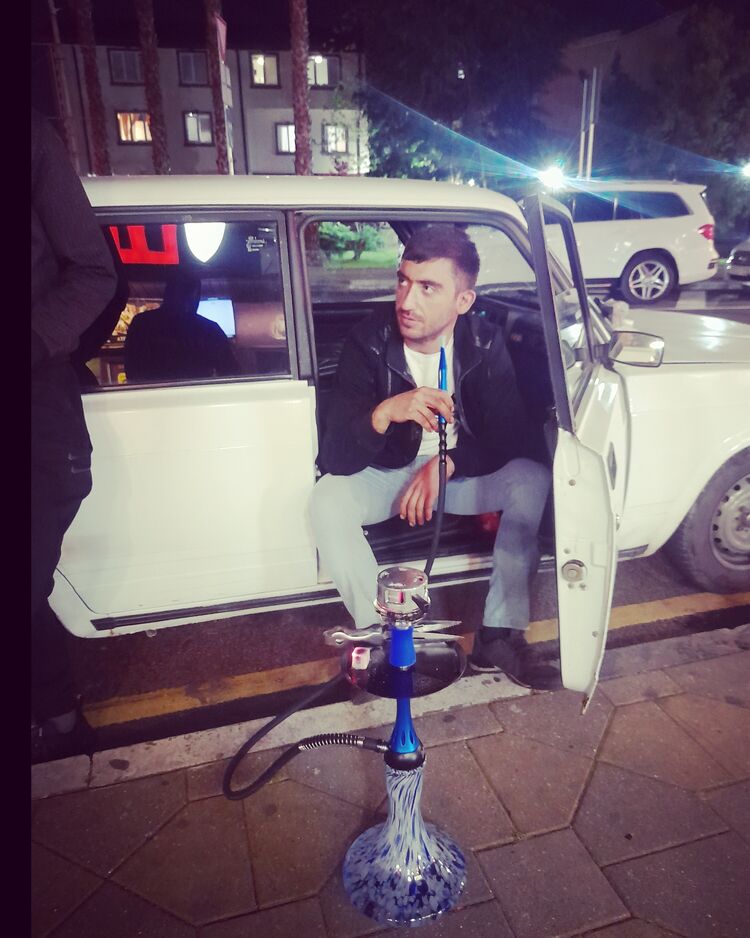  33978262  , 31 ,    