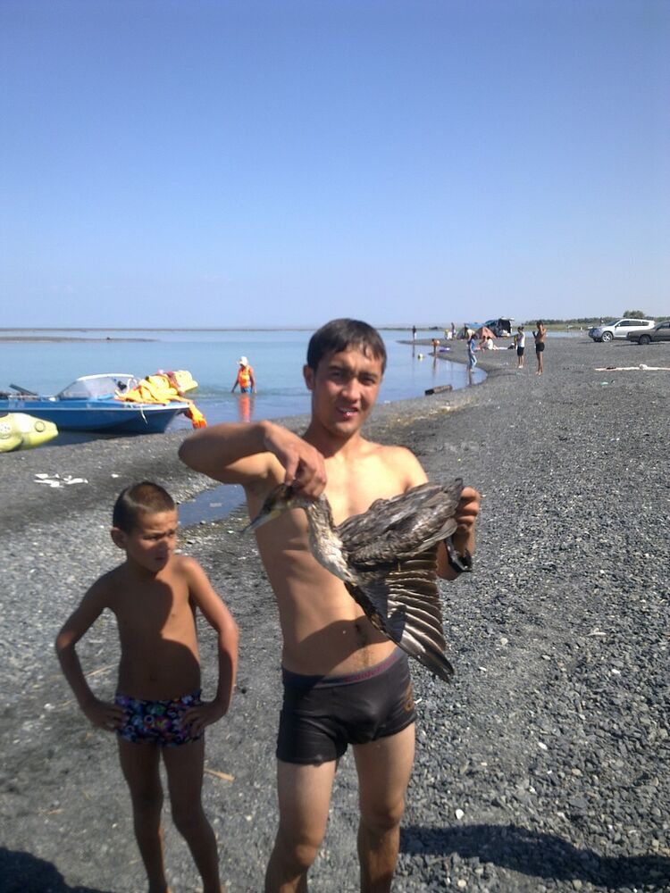 ���� 4856202 ������� Batman, 37 ���, ���� ���������� � ������