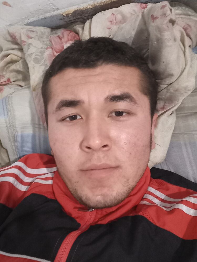 ���� 23954102 ����� ��������, 24 ����, ���� ���������� � ��������