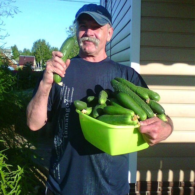 ,   Vladimir, 64 ,   