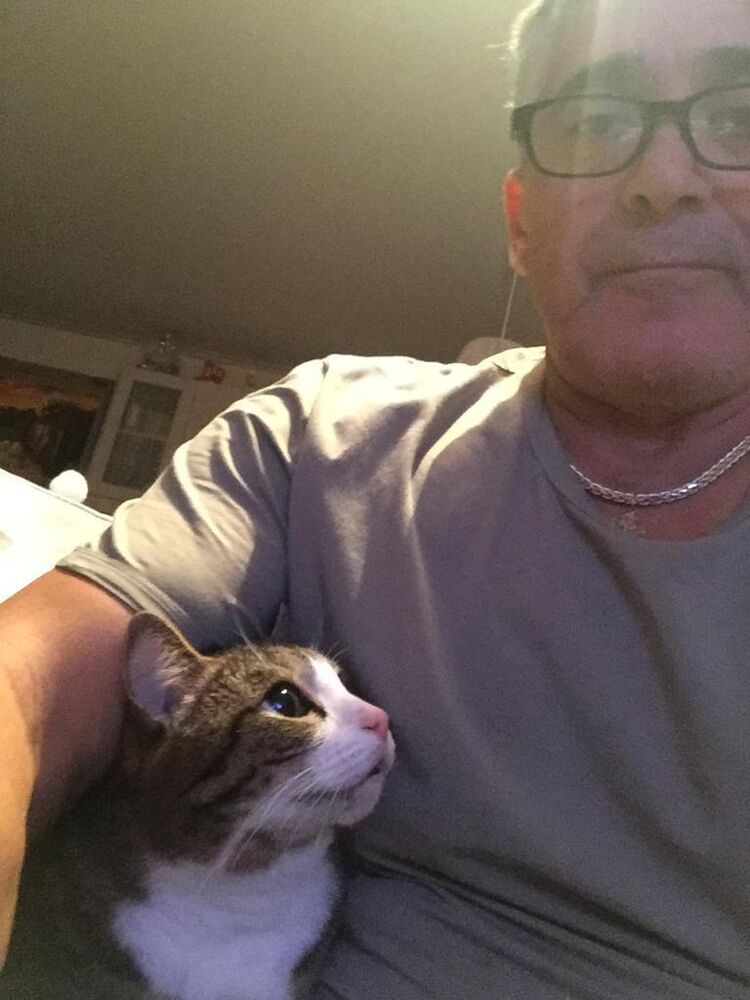 ���� 52354292 ������� ������, 65 ���, ���� ���������� � Chania