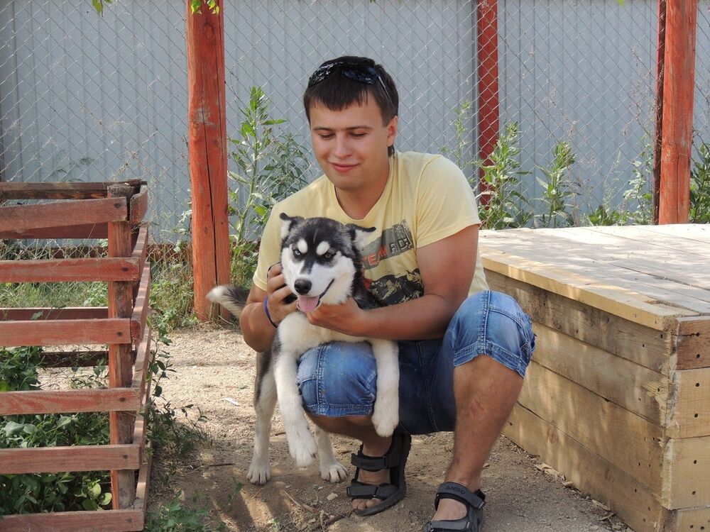 ���� 11981592 ������� ����, 39 ���, ���� ���������� � ���������