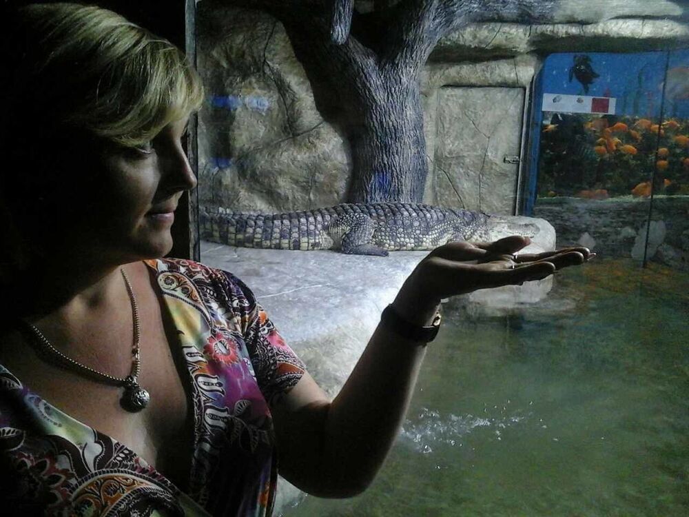 ���� 16784572 ������� ������, 46 ���, ���� ���������� � �����������