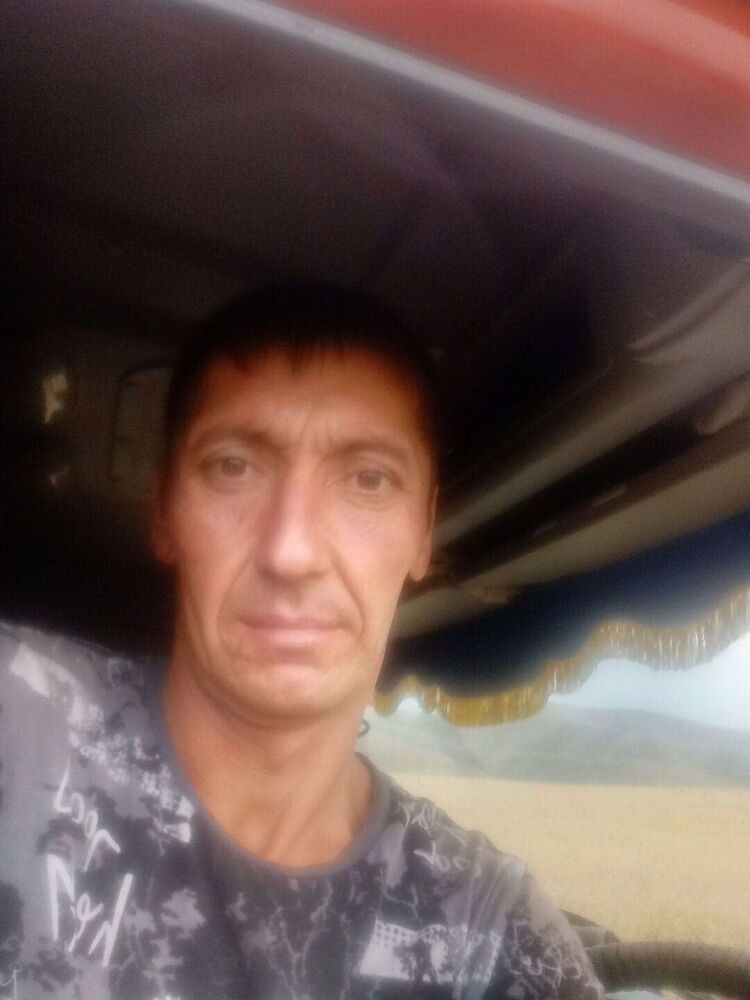  53374482  , 41 ,    -