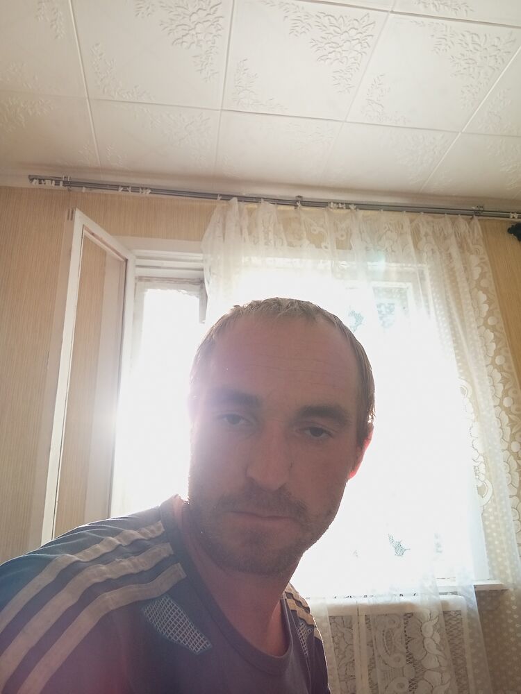  45365142  , 31 ,    