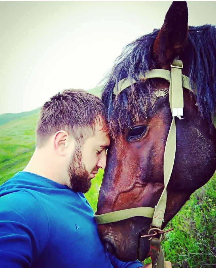 ���� 25789202 ������� BORODA, 32 ����, ���� ���������� � �������