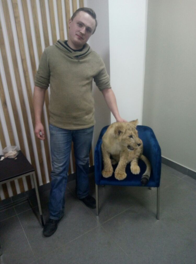 ���������� �������, ���� ������� �����, 35 ���, ������������ ��� ������, ����� � ���������, c�������� ���������