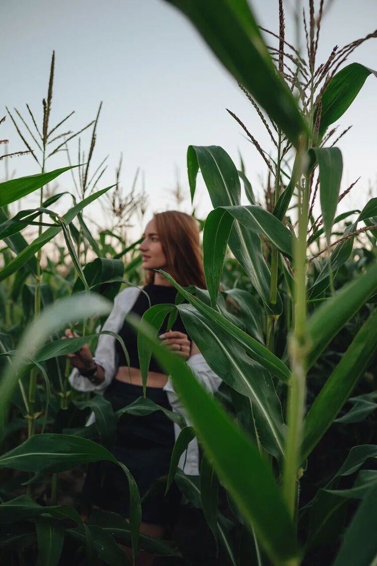 ���������� �����-���������, ���� ������� �������, 34 ����, ������������ ��� c�������� ���������