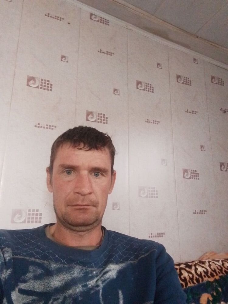  50725922  , 41 ,    