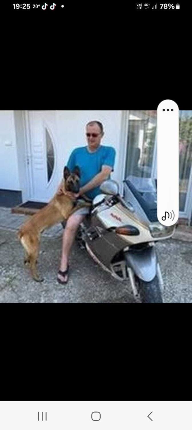  54475042  Goran, 51 ,    