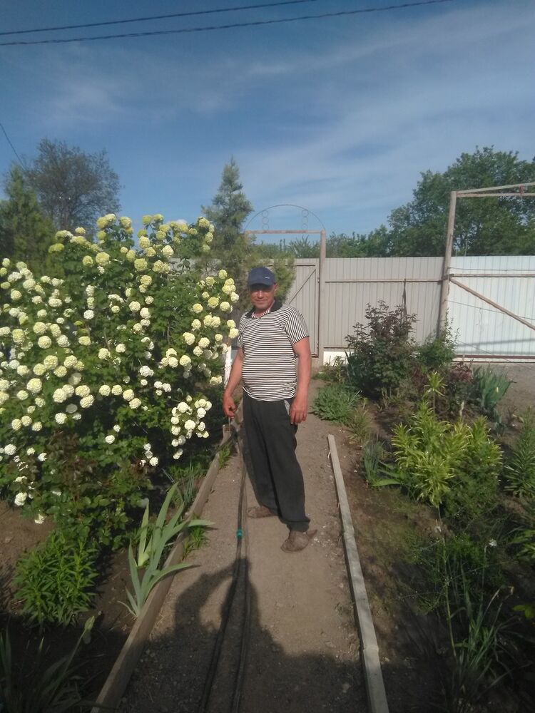  ,   , 62 ,   ,   , c 