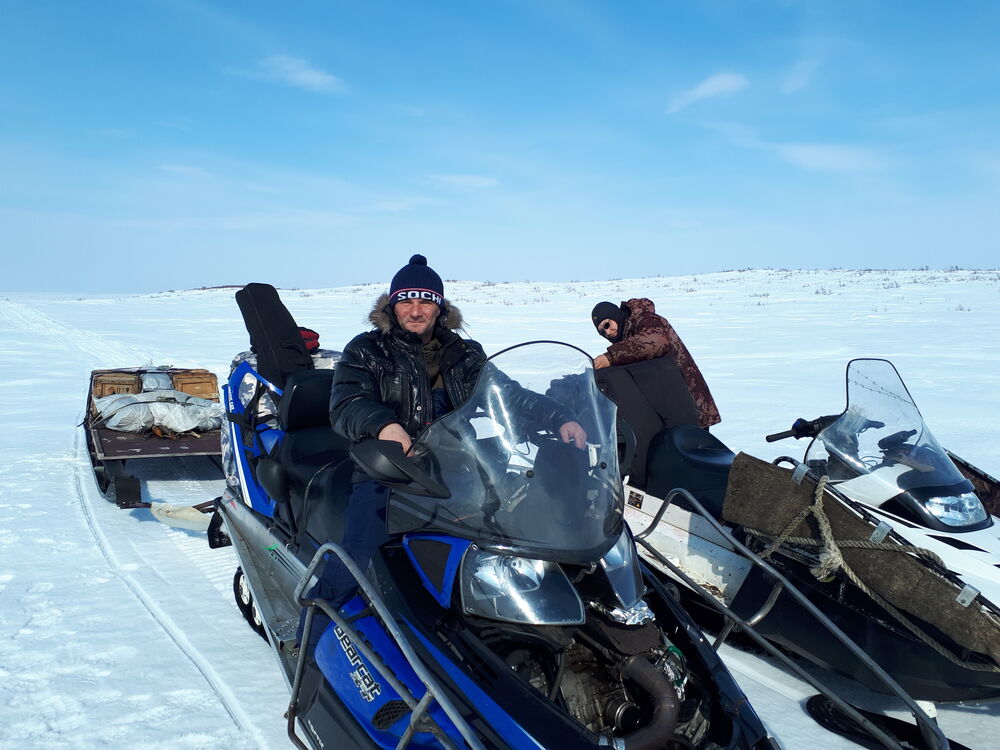 ���������� ��������, ���� ������� ������, 49 ���, ������������ ��� ������, ����� � ���������, c�������� ���������, ���������