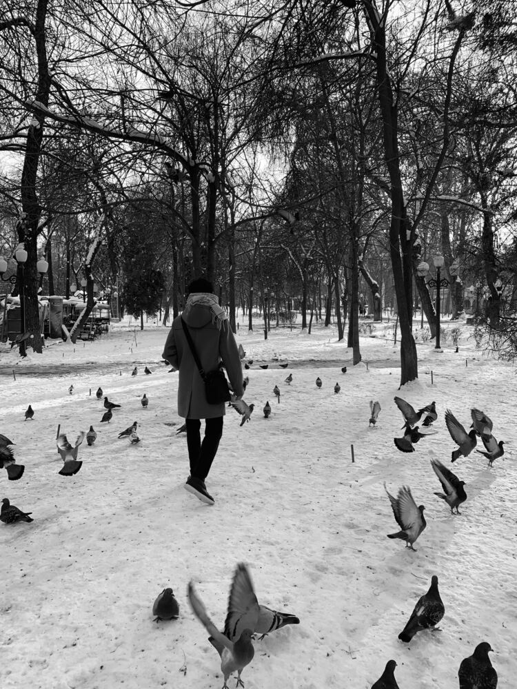 ���� 44323522 ����� ����, 21 ���, ���� ���������� � ��������